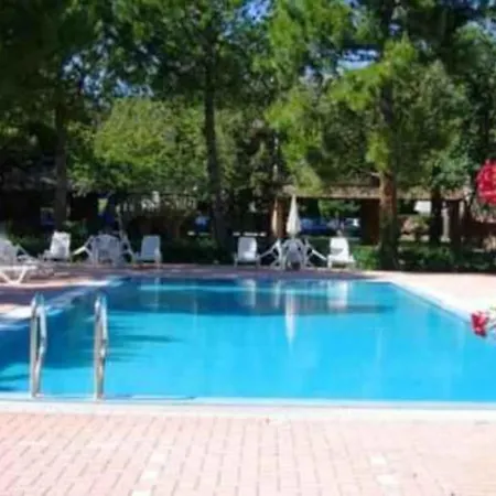 Coneromarerelax